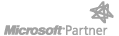 Microsoft Partner